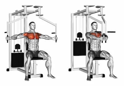 Pec fly deals